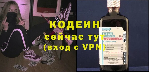 индика Новодвинск