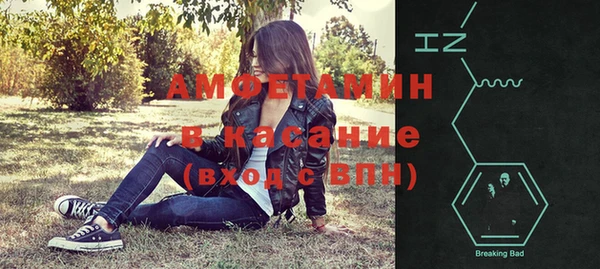 прущие грибы Новозыбков