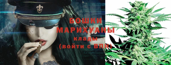 индика Новодвинск
