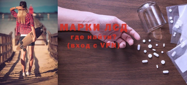прущие грибы Новозыбков