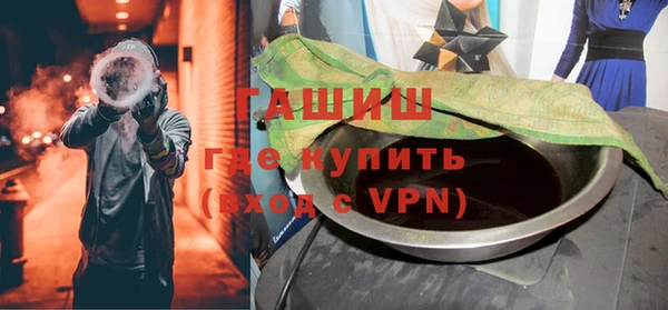 индика Новодвинск