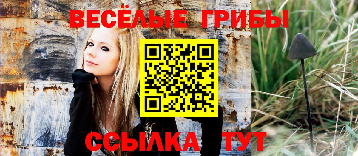 Копейск  Псилоцибиновые грибы ЛСД  Вход с VPN 