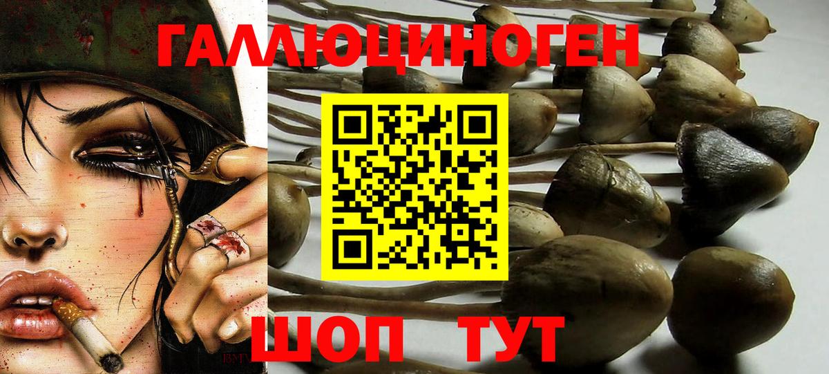 Псилоцибиновые грибы мицелий Копейск